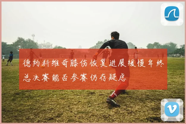 德约科维奇膝伤恢复进展缓慢年终总决赛能否参赛仍存疑虑